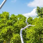 Сasa de vacaciones Mediterranean Oasis *