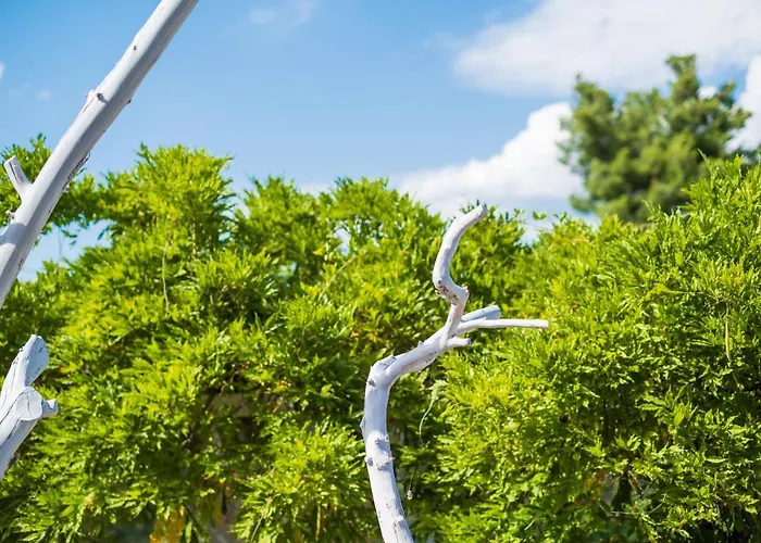 בית נופש Mediterranean Oasis *